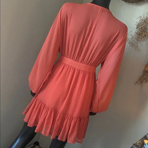 Vici Terracotta Button-Down Darling Cute Dress - Picture 10 of 13